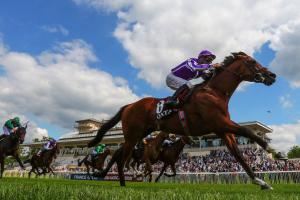 jockey club 21