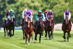jockey 