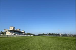 chantilly