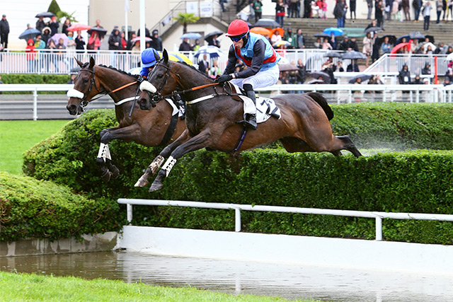 Grand Steeple-Chase de Paris