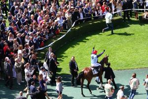 Les grands gagnants de 2016 (2/8) : Milord Thomas
