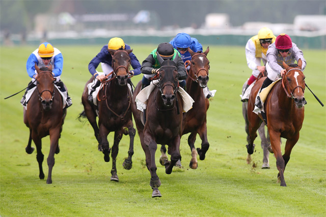 Course de chevaux